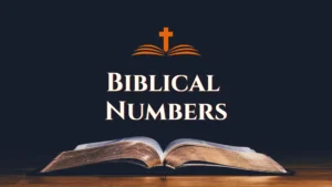 CF401 Book Biblical Numbers