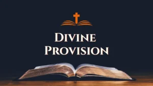 CF300 Divine Provision
